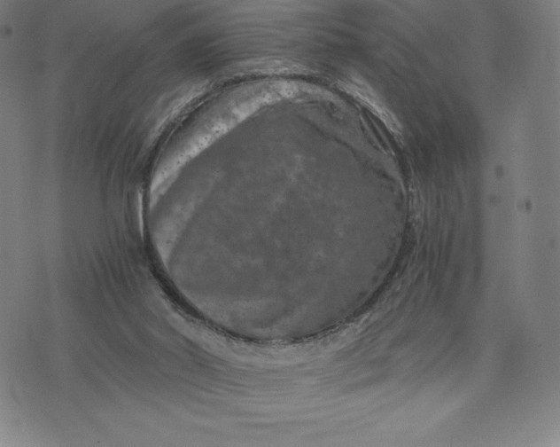 X0000074000014200609111610