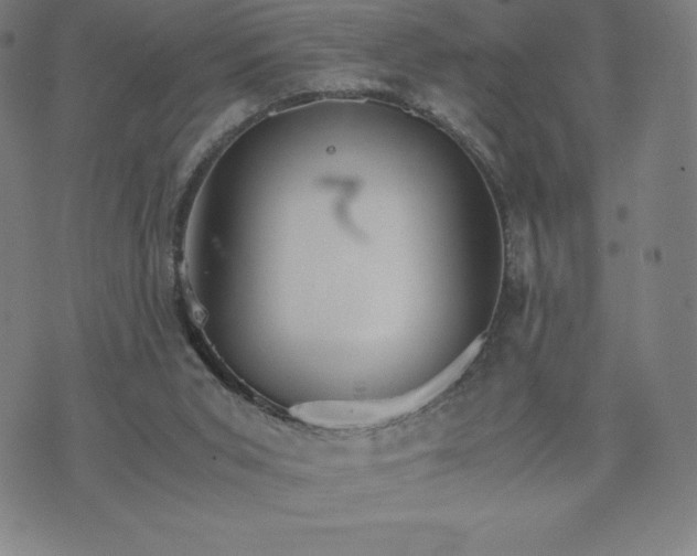 X0000074000015200609111610