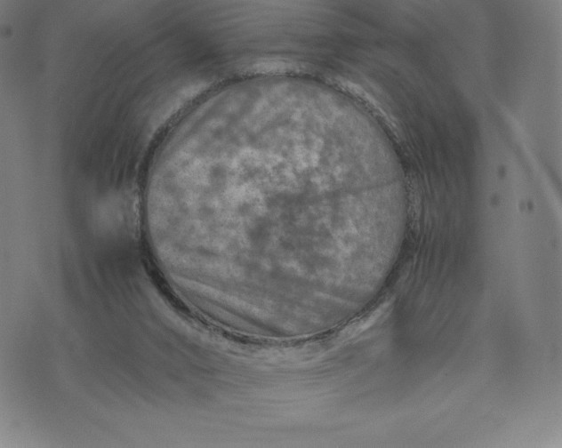 X0000074000016200609111610