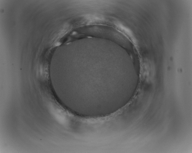 X0000074000017200609111610