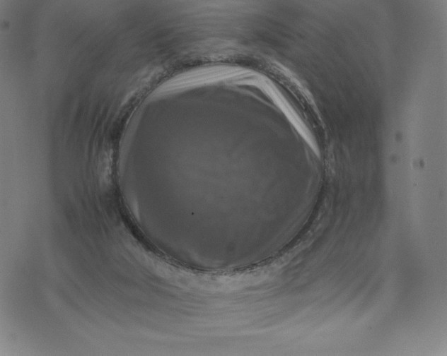 X0000074000018200609111610