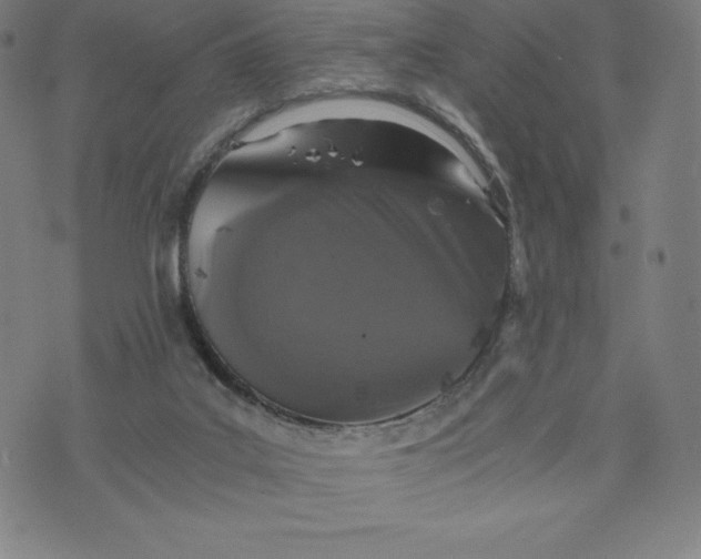 X0000074000019200609111610