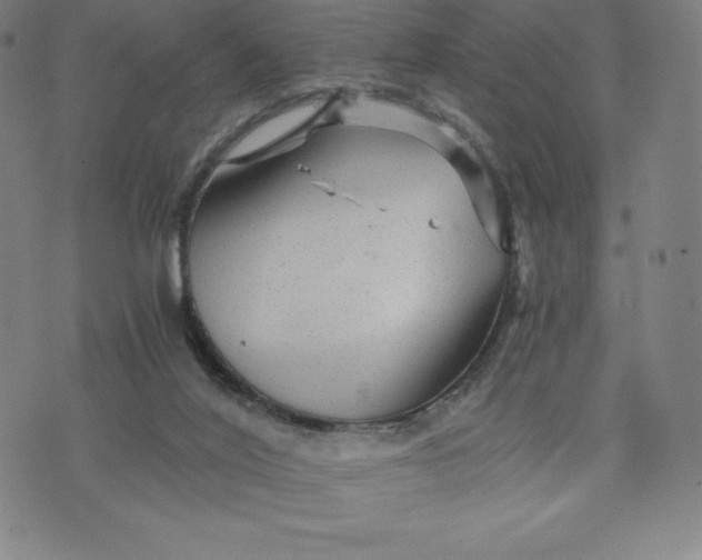 X0000074000020200609111610