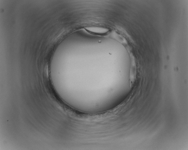 X0000074000021200609111610