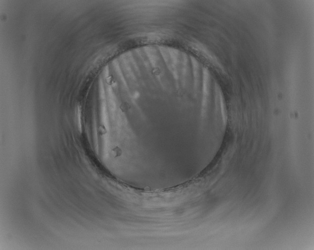 X0000074000022200609111610