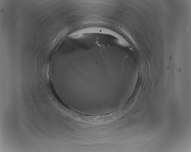 X0000074000023200609111610