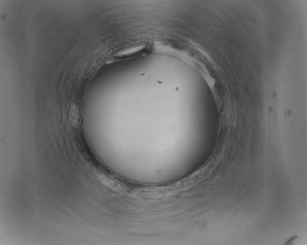 X0000074000025200609111610