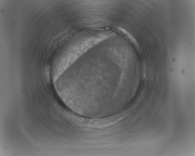 X0000074000026200609111610