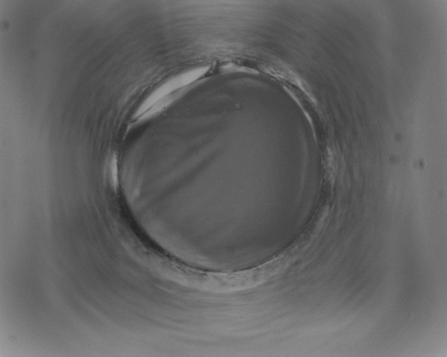 X0000074000027200609111610