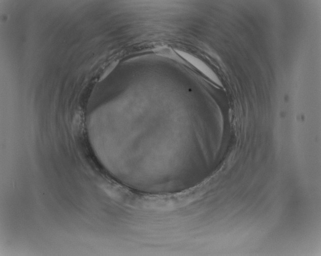 X0000074000029200609111610