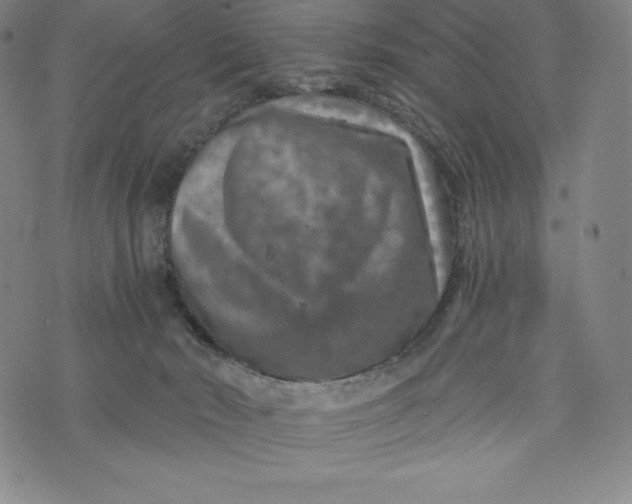 X0000074000030200609111609