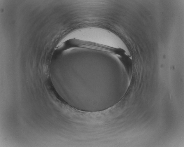 X0000074000031200609111609