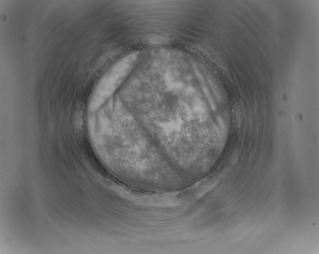 X0000074000032200609111609