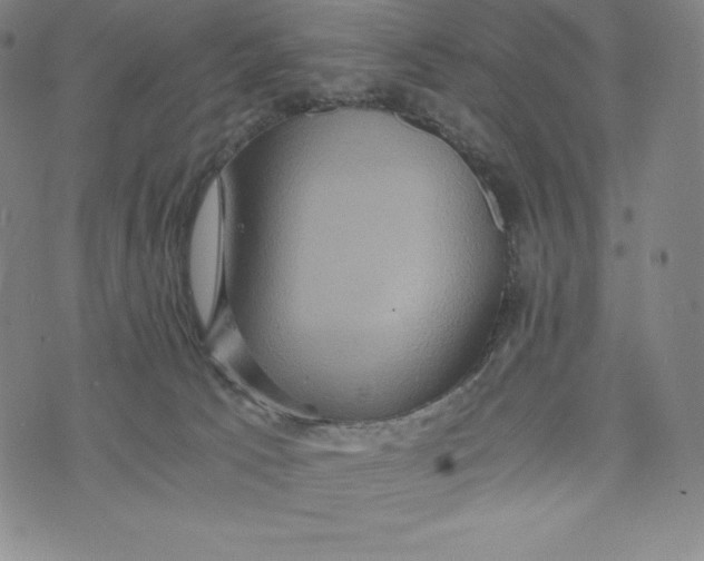 X0000074000033200609111609