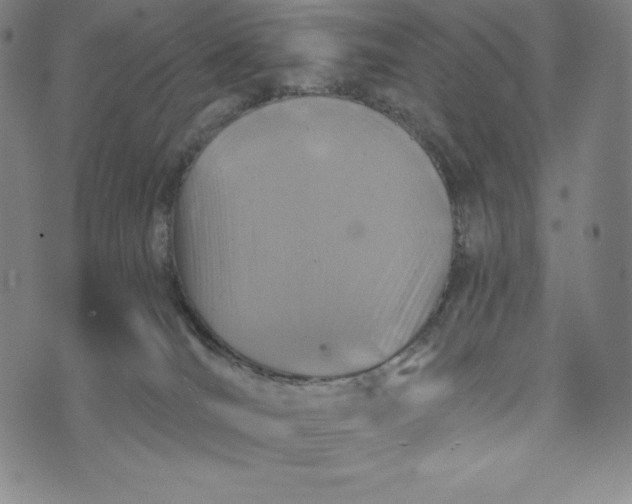 X0000074000036200609111609