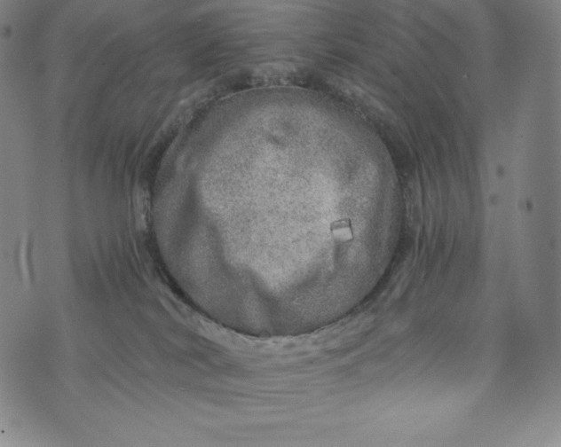 X0000074000038200609111609