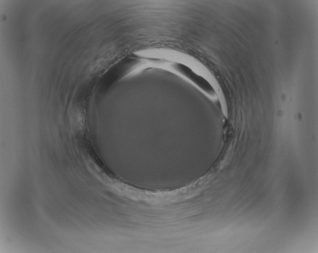 X0000074000039200609111609