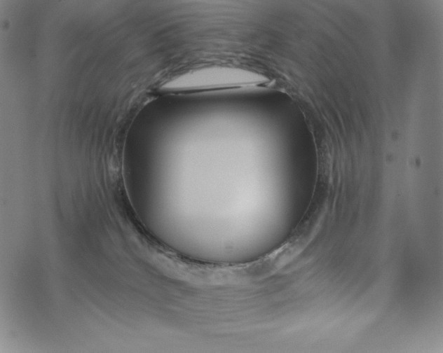 X0000074000040200609111609