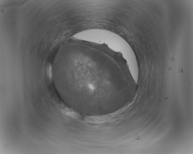 X0000074000041200609111609