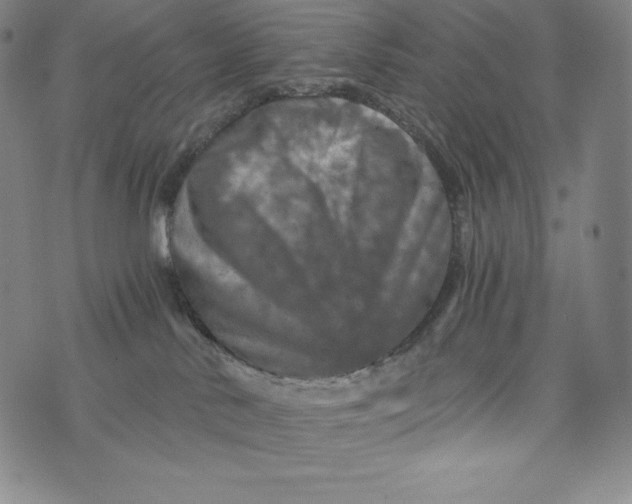 X0000074000042200609111609