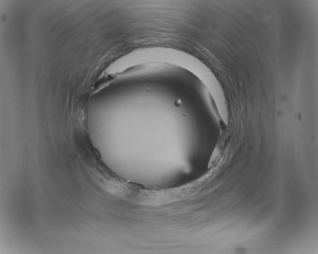 X0000074000045200609111609