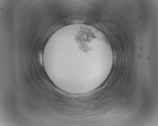 X0000074000046200609111609