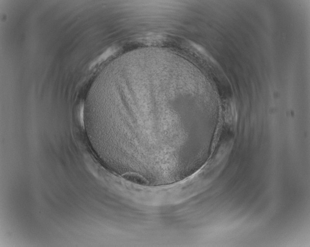 X0000074000047200609111609