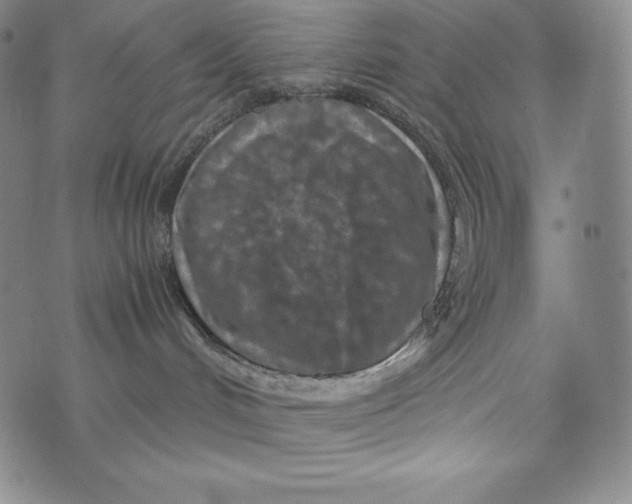 X0000074000048200609111609