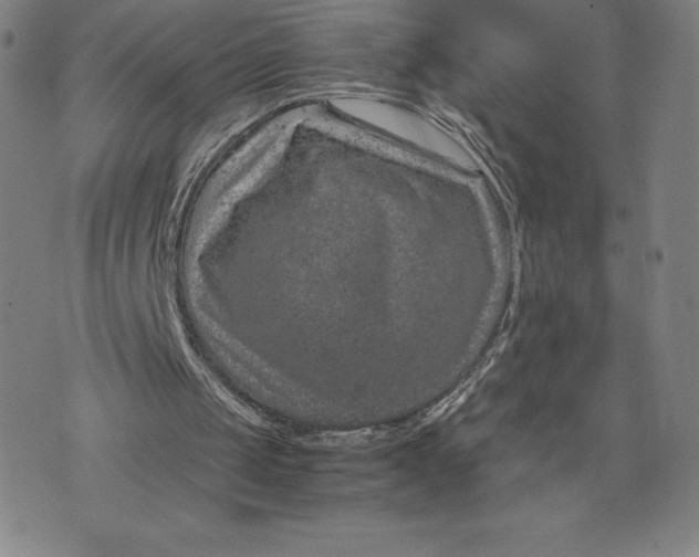 X0000074000049200609111608