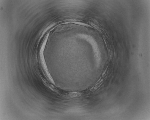 X0000074000050200609111608