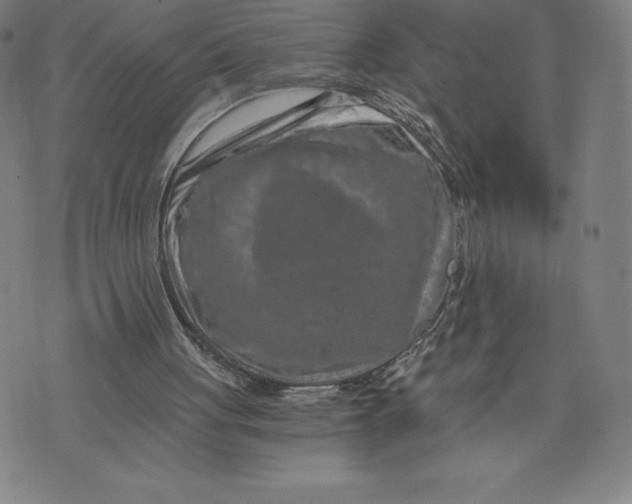 X0000074000051200609111608