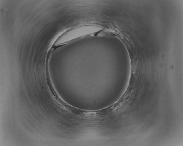 X0000074000052200609111608