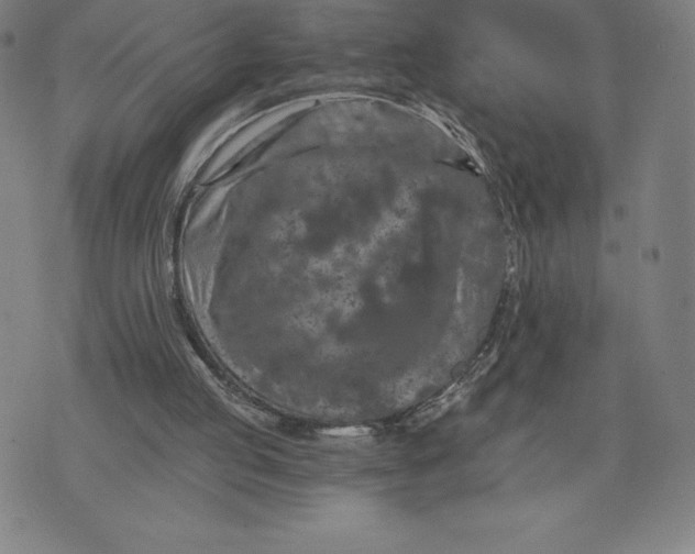 X0000074000053200609111608