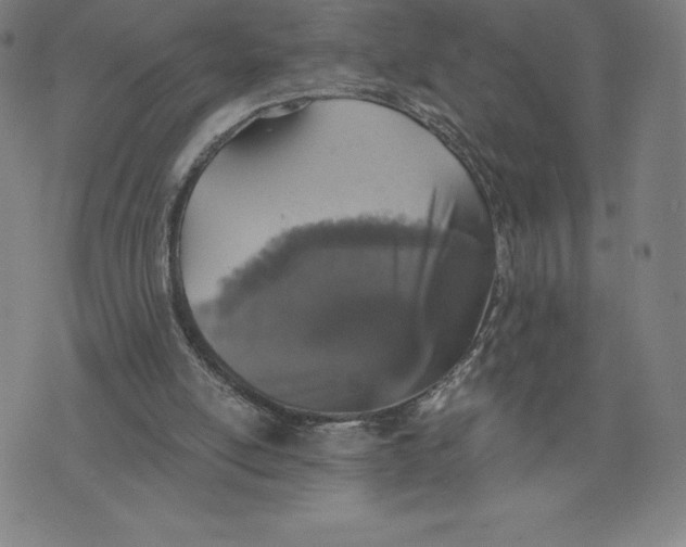 X0000074000054200609111608