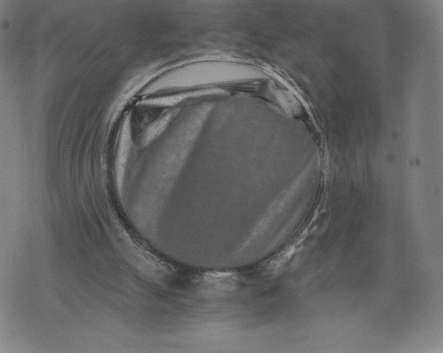 X0000074000055200609111609