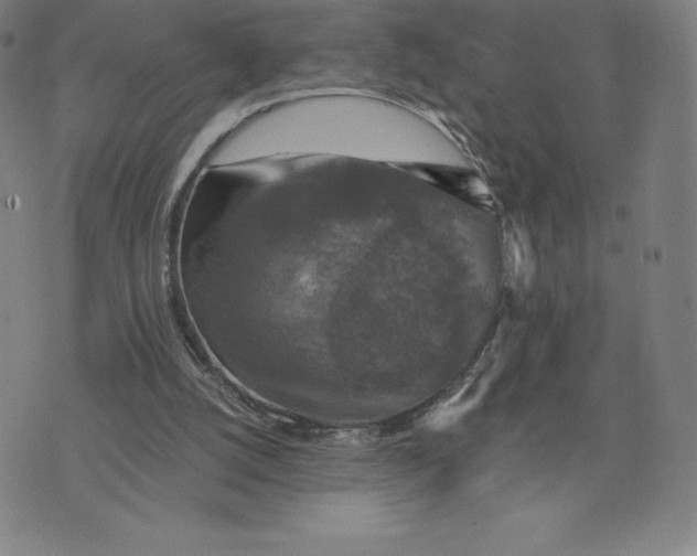 X0000074000056200609111609