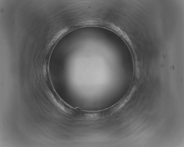 X0000074000057200609111609