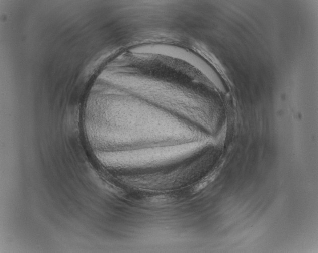 X0000074000058200609111609