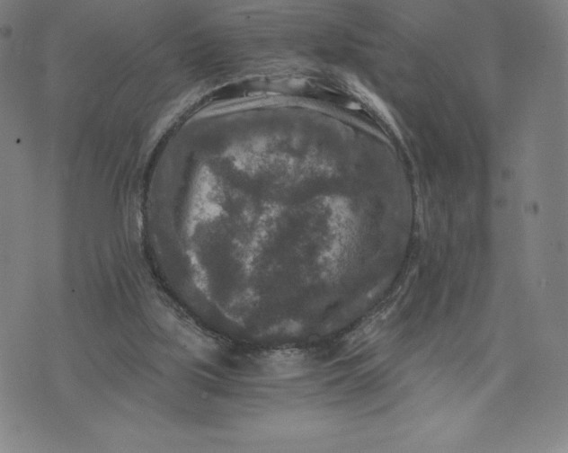 X0000074000059200609111609