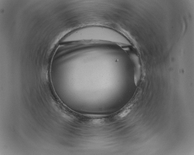 X0000074000060200609111609