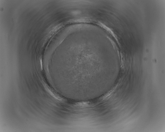 X0000074000061200609111609