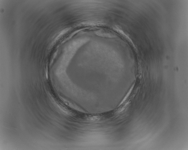 X0000074000062200609111609