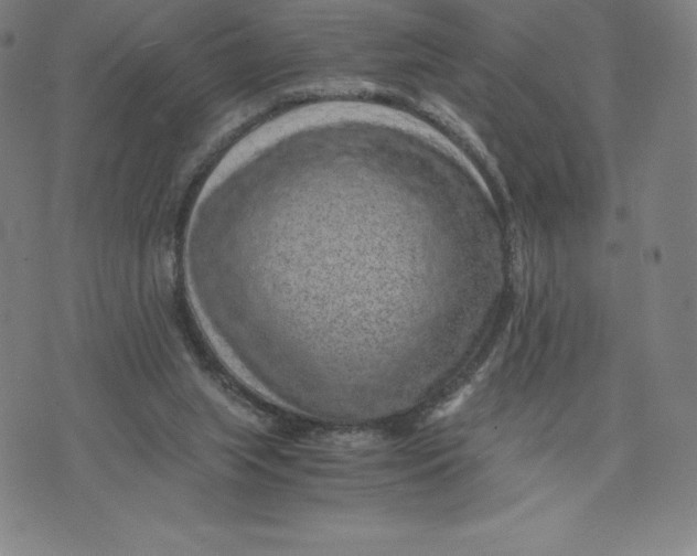 X0000074000063200609111609