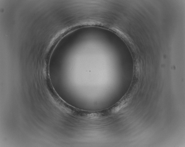 X0000074000064200609111609