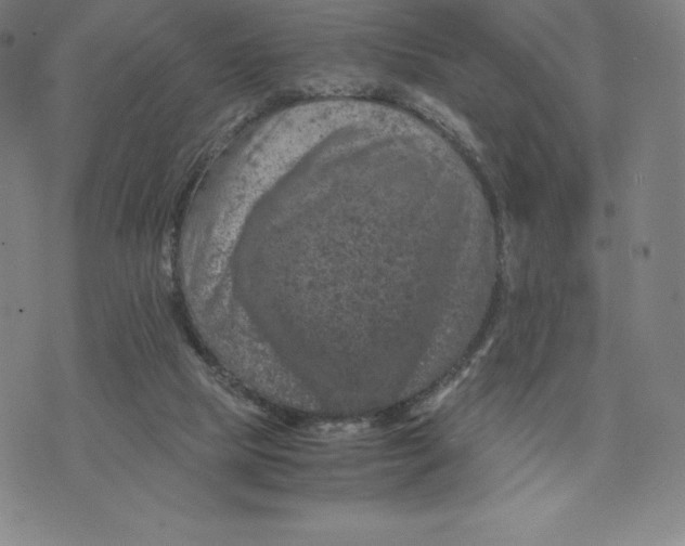 X0000074000065200609111609