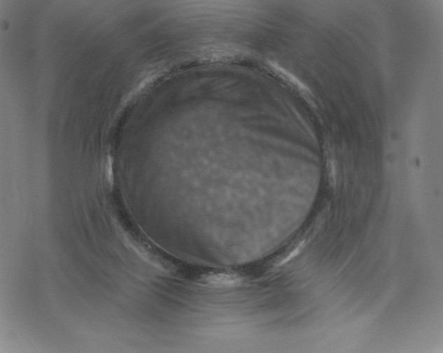 X0000074000067200609111609