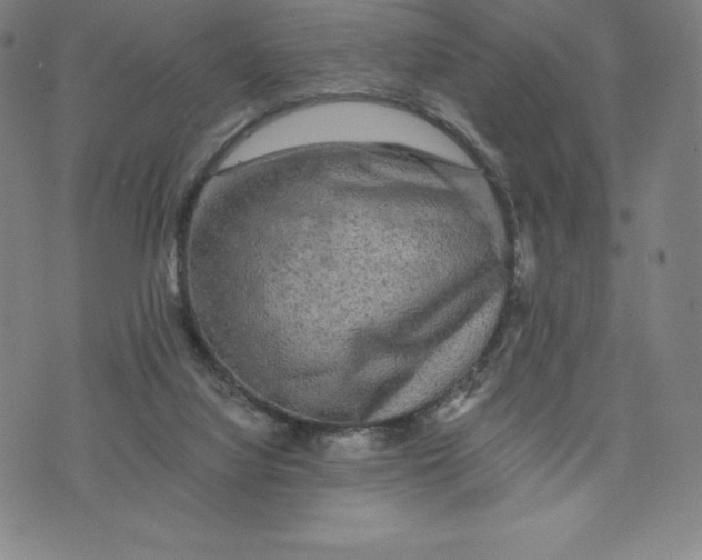 X0000074000068200609111609