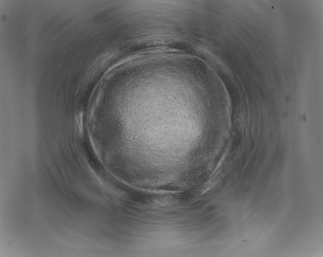 X0000074000070200609111609