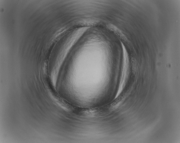 X0000074000071200609111609