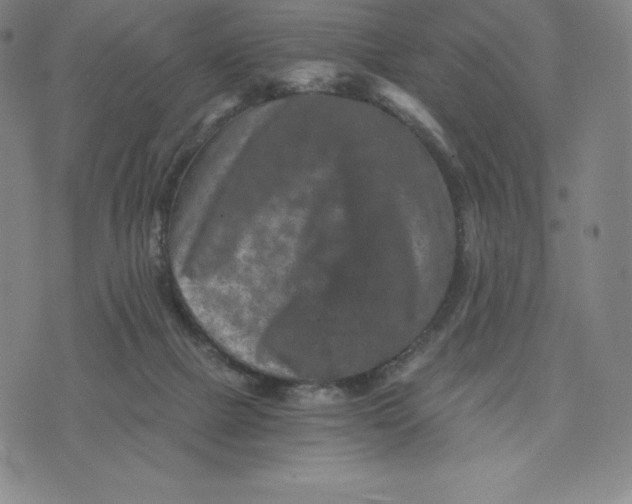 X0000074000073200609111609